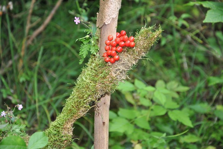Catéchisme | Camp de catéchisme, 2014